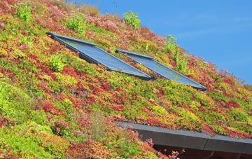 Leasingham living roof systems